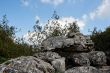 Pyramid of lichen-covered gray rocks