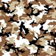 camouflage desert