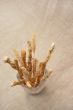 Breadsticks with wheatears in vase