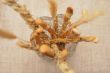 Breadsticks and wheatears in vase close up