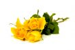 bunch of flowers