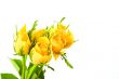 bunch of flowers