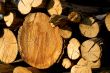 Truncate wood