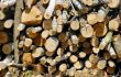 Firewood