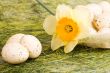 Basket with easter eggs and daffodil
