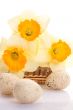 Daffodils and