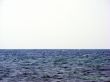 Waterscape