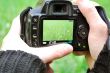 Camera Display With Plants