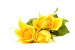 bunch of flowers