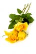 bunch of flowers