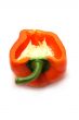 Cut fifty-fifty orange bulgarian pepper