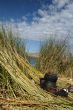 Titicaca lake