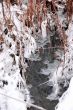 Winter stream