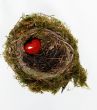 Red heart in nest