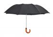 umbrella isolated