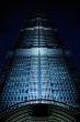 shanghai world financial center and jin mao tower