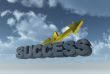 success