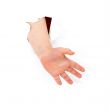 Child`s hand stick out from hole