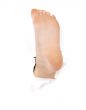 Childish foot on the white background