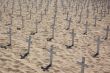 Crosses on the beach