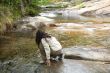 woman next to river