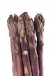 Purple Asparagus Spears Vertical