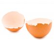 eggshell