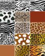 Animal skins