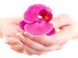 orchid in woman hands