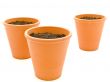Planting pot