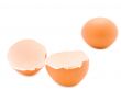 egg and shell