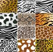 Animal skins