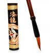 chinese hieroglyphics ink
