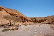 Desert rocky landscape in Red Canyon