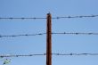 Three strands of barbed wire on rusty post