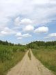 country road