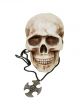 Celtic cross and skull