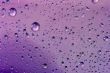 water-drops on violet background