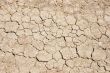 Cracked ground during drought