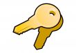 Authorization keys icon