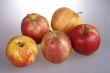 five apples on greyish background
