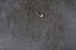 metal background