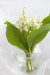 Bouquet of lily of the valley