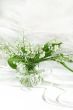 Lily of the valley in vase
