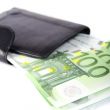 euro and a purse