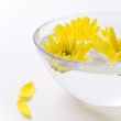 yellow flowers