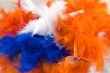 boa for dutch holiday called queensday