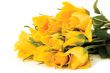 bunch of flowers