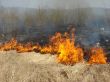 wildfire