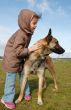 little girl and malinois